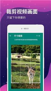 视频水印剪辑宝图3