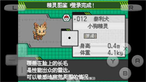 口袋妖怪白2内置金手指版图3