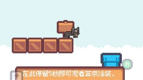 猫里奥图4