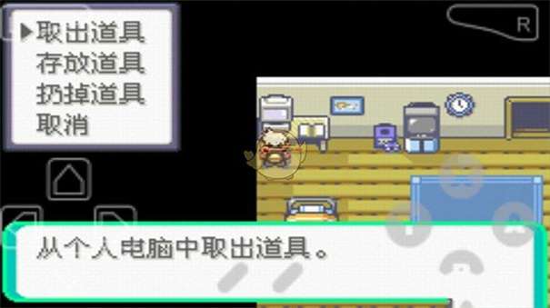 口袋妖怪漆黑魅影图5