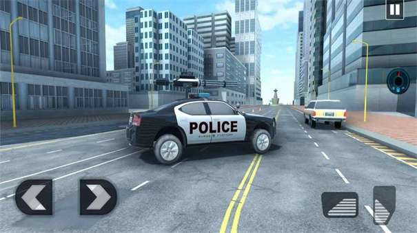 警车模拟世界图3