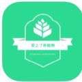 爱上了养植物