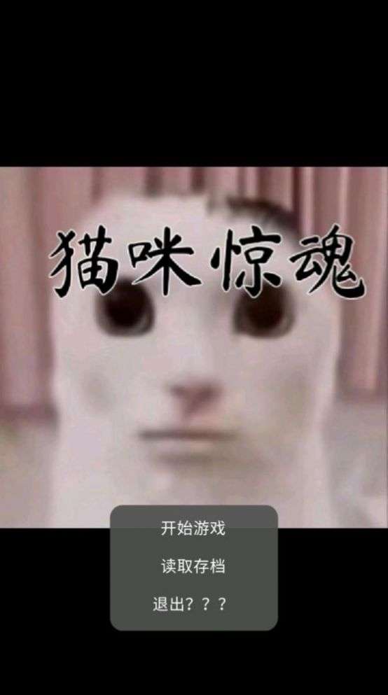 猫咪惊魂图3