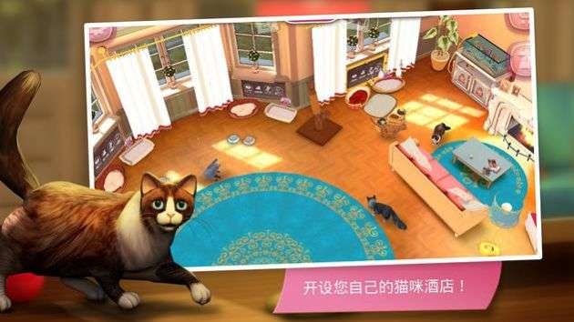 猫咪旅店图3