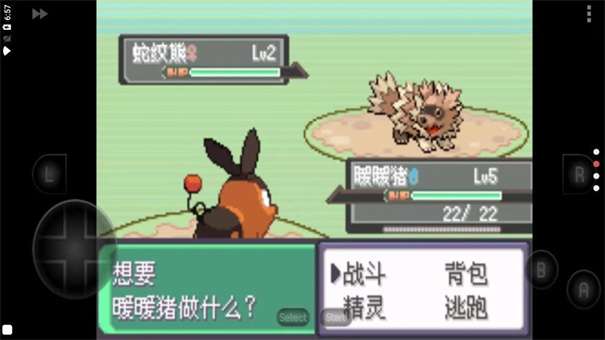 口袋妖怪漆黑的魅影1.5图3