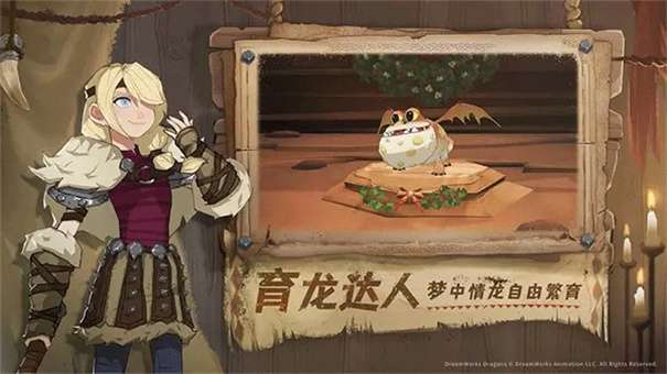 驯龙高手旅程测试服图1