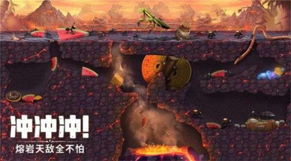 机智的小动物图2