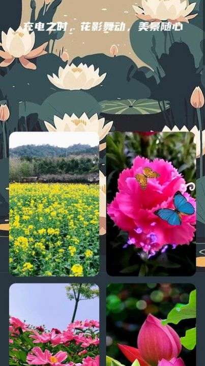 花影充电图3