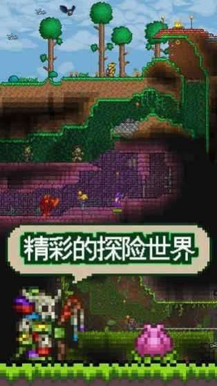 泰拉瑞亚1.4.3饥荒联机版下载破解版图3