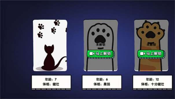 猫咪城市探索行图3