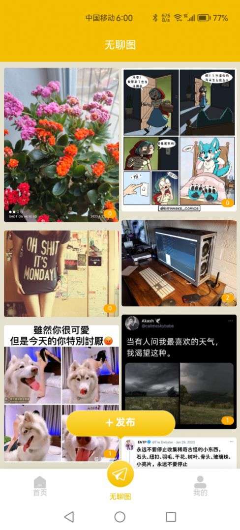 小小品图2
