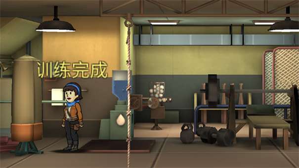 辐射避难所单机版无限箱子图1