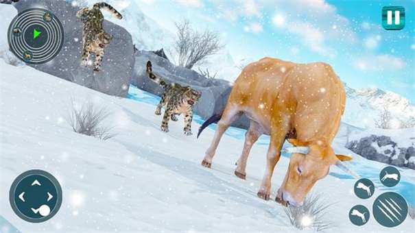 野生雪豹模拟器图2