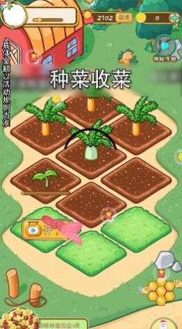 全民种菜红包版图2