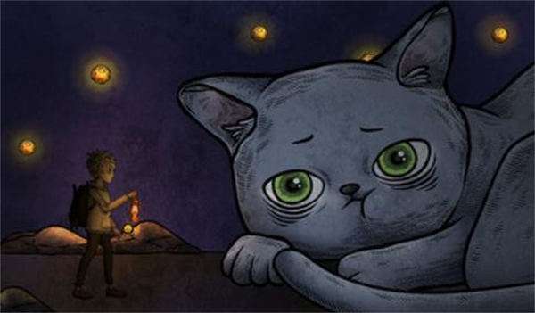 猫咪博物馆图3