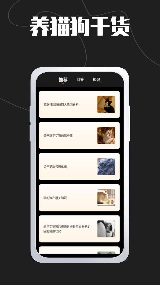 猫旅馆图2
