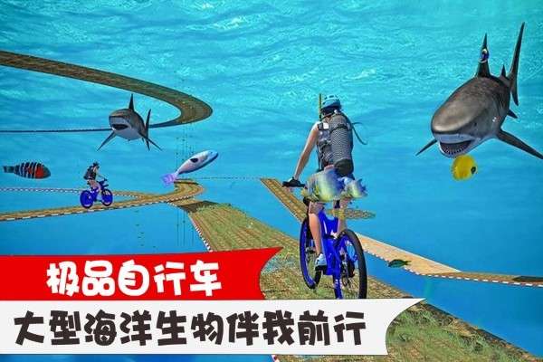 极品自行车图3
