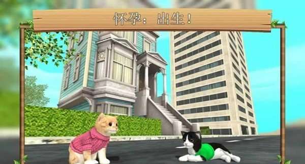 猫咪生存探险图2