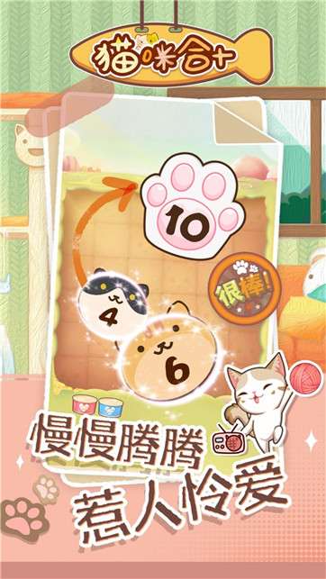 猫咪合十图5