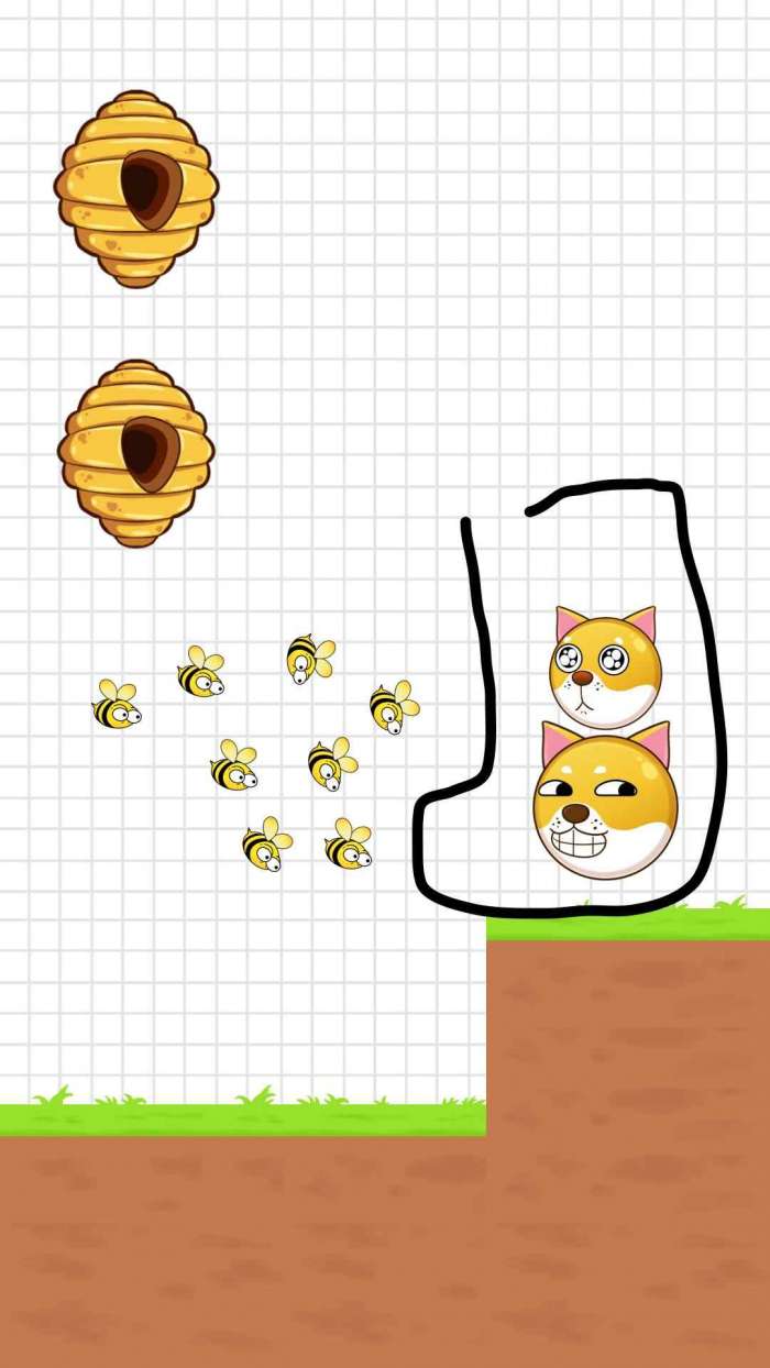 保护狗狗安全图1