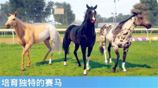 奔跑的马最新版图3
