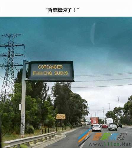 世界讨厌香菜日是什么梗 世界讨厌香菜日是什么意思