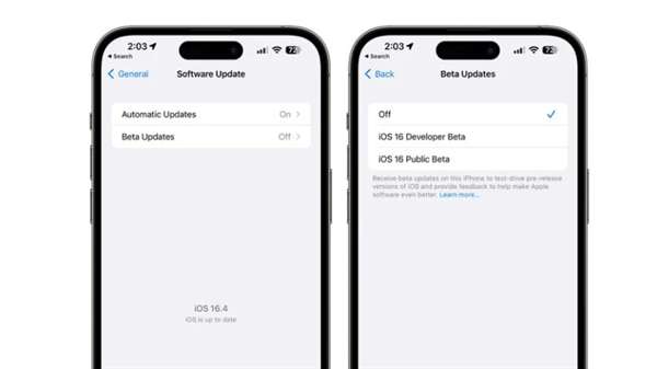 ios16.5RC版图3