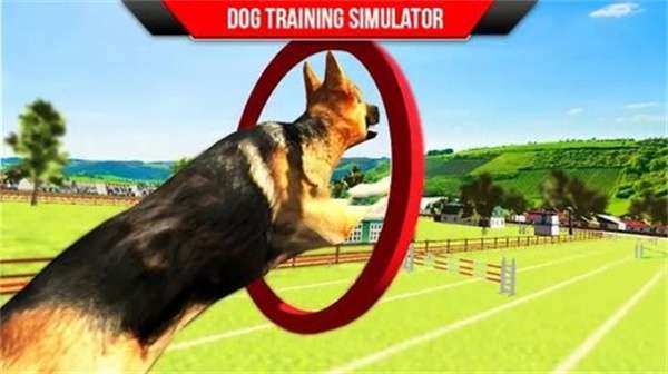 狗狗训练3D图1