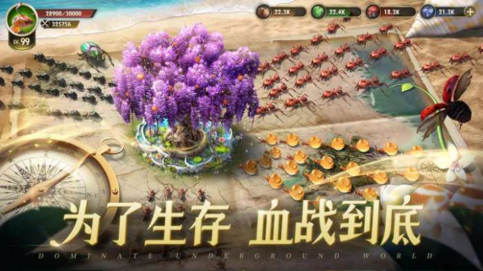 小小蚁国蚁族时代图5