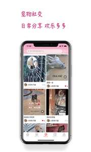 培森家园图2