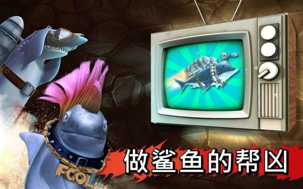大白鲨来了图2