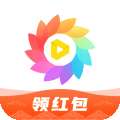 全局透明壁纸pro
