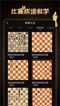 国际象棋大师图3