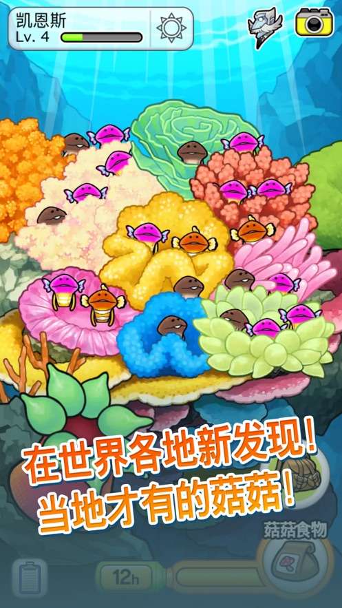 天天撸蘑菇手机版图1