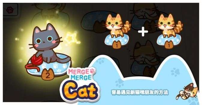合并猫猫图3