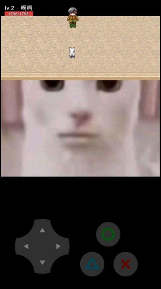 猫猫惊魂图3