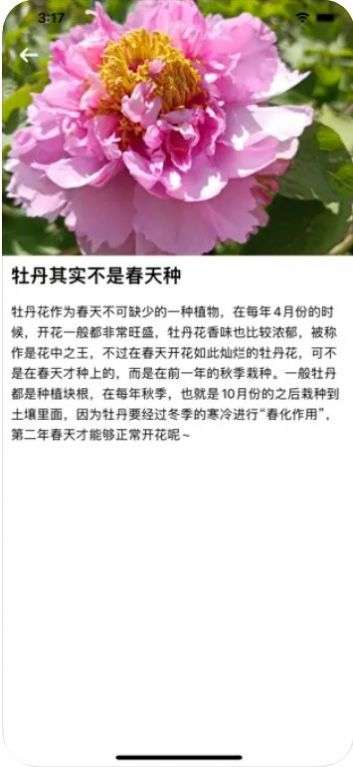 爱上了养植物图3