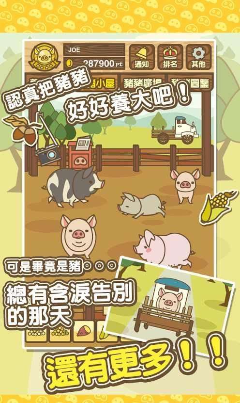 养猪场图2