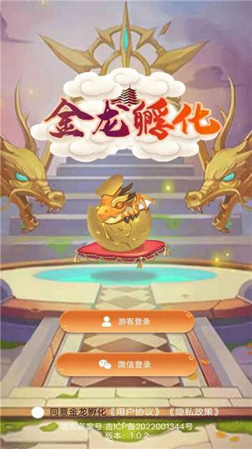 金龙孵化图3