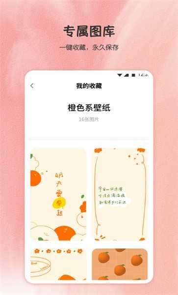 小王壁纸破解版图1
