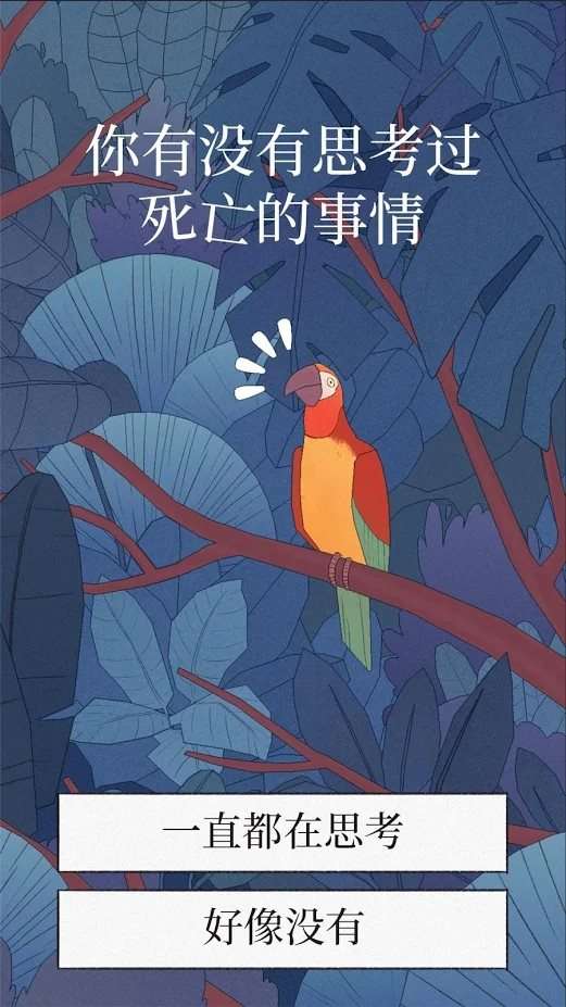 孤独的鸟儿正版图2