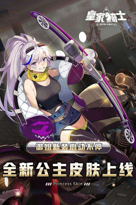 皇家骑士300自走棋图4