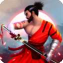 忍者武士隆中文无敌版