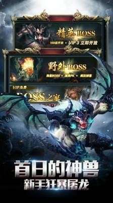 盛世龙城传奇打金图3