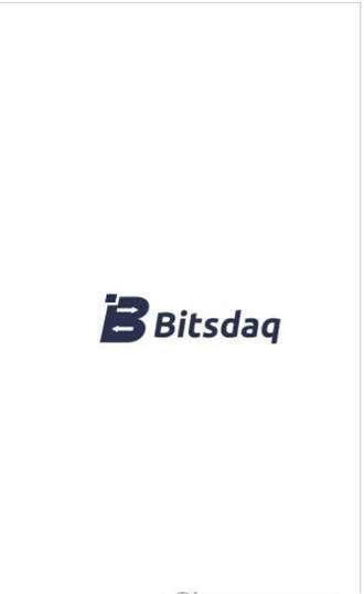 Bitsdaq交易所图1