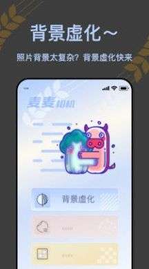 麦麦相机图1