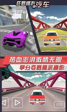 狂野模拟汽车图1