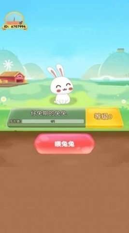 新年大白兔图1