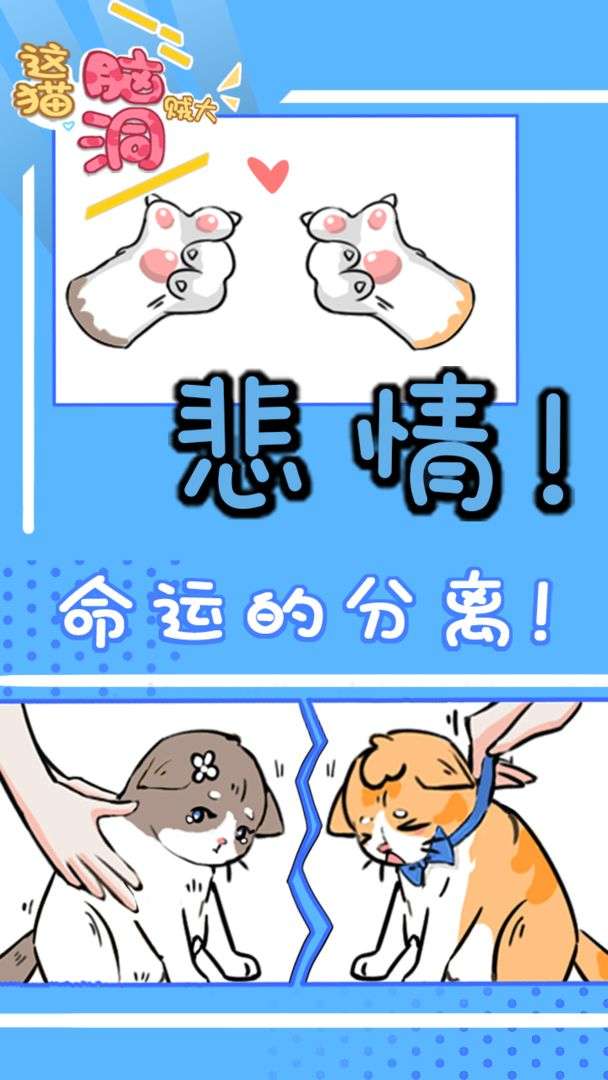 这猫脑洞贼大图4