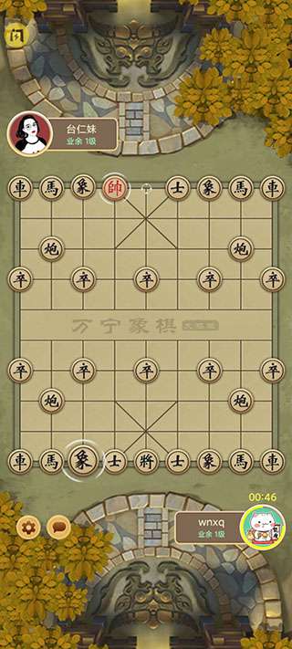 万宁象棋免广告版图1